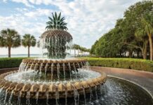 Charleston & Coastal Carolina Tea Destinations