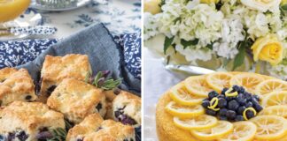 blueberry recipes