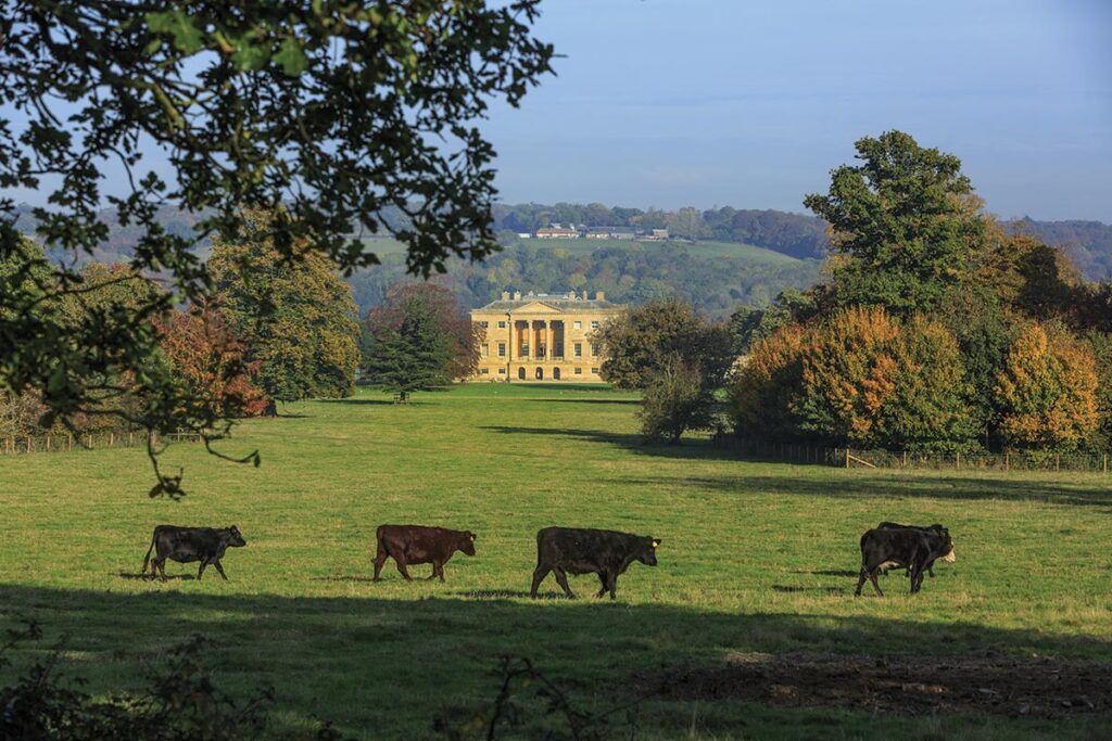 The Basildon Park estate covers 400 acres of historic parkland.