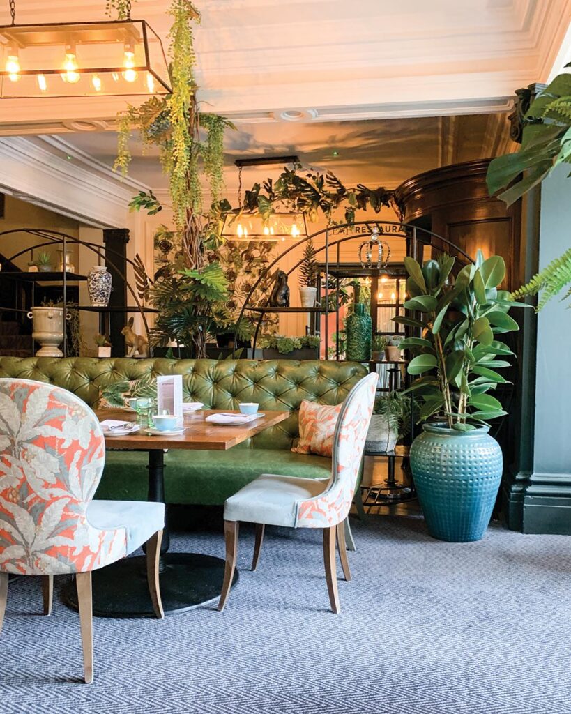 All kinds of plants create an indoor garden in the Leaf Lounge and give the room its name. Photograph by Jane Pettigrew