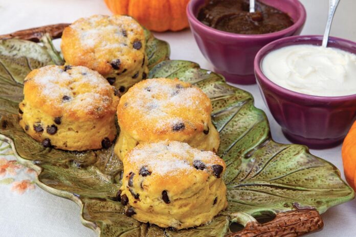 Chocolate Chip–Pumpkin Scones