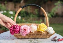 edible roses for teatime cuisine