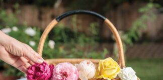 edible roses for teatime cuisine