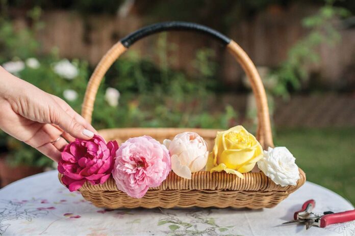 edible roses for teatime cuisine