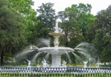 Sipping Tea in Savannah