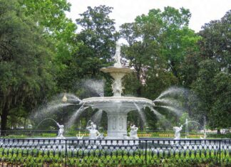 Sipping Tea in Savannah