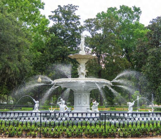 Sipping Tea in Savannah