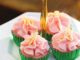 Azalea Cupcakes